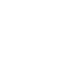 PAGUE EM ATÉ 12X NO CARTÃO